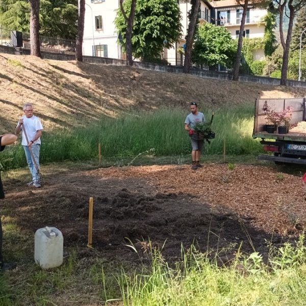 Giardino delle Api - scuola PonteLambro - foto_2026.06