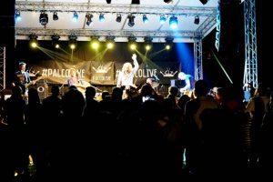 Gli Hothouse Flowers durante esibizione