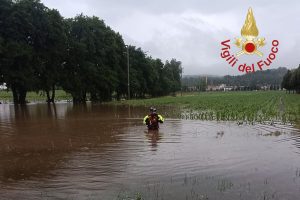 IMG-20240707-WA0013
