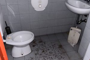 IMG-20251101-WA0004