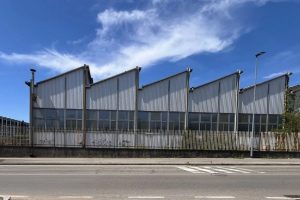 IMG-20251204-WA0018(1)