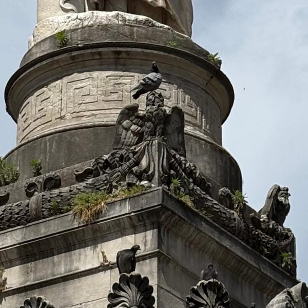 statua Volta
