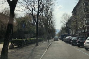Viale Varese