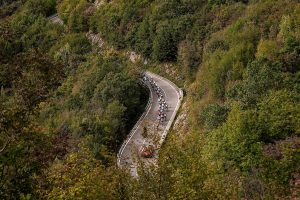 Peloton during the 118th edition of the ILombardia a 252 km one day race from Bergano to Como on October 12, 2024, Italy. (Photo by Marco Alpozzi/LaPresse)