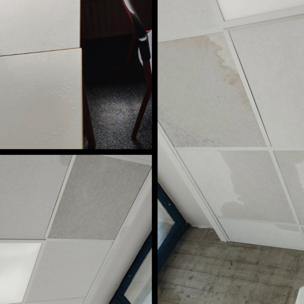 Infiltrazioni-Scuola-Sagnino-Combo