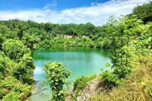 L'Oasi di Baggero a Merone (Como) (1)