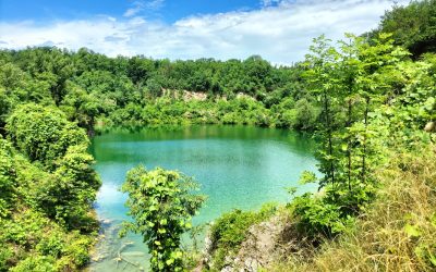 L'Oasi di Baggero a Merone (Como) (1)