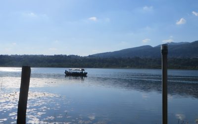 La Barca elettrica Amicizia sul lago di Alserio