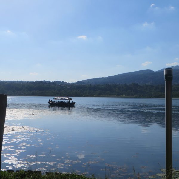 La Barca elettrica Amicizia sul lago di Alserio