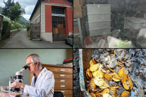 Laboratorio Archeobiologia-ossa-Combo-2