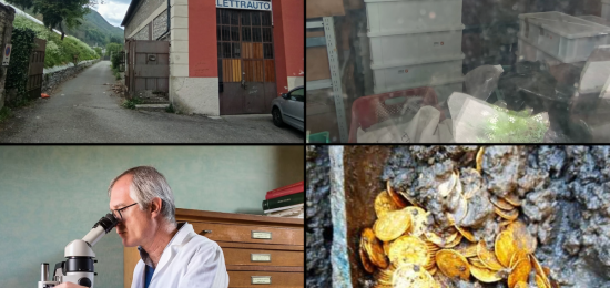 Laboratorio Archeobiologia-Combo-2