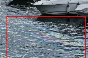 Lago-Chiazza-Oleosa-1