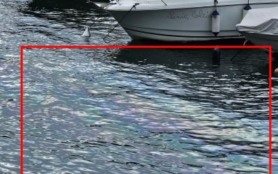 Lago-Chiazza-Oleosa-1