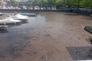 Lago sporco marina 3
