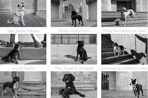 Lorenza-Ceruti-calendario-cani2