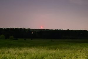 Luna-Rossa-Como-Oasi-Bassone-Albate-3
