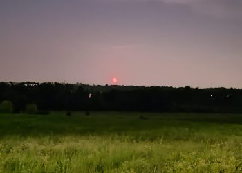 Luna-Rossa-Como-Oasi-Bassone-Albate-3