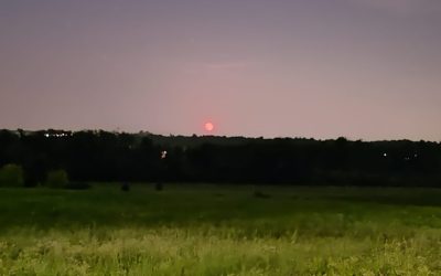 Luna-Rossa-Como-Oasi-Bassone-Albate-3