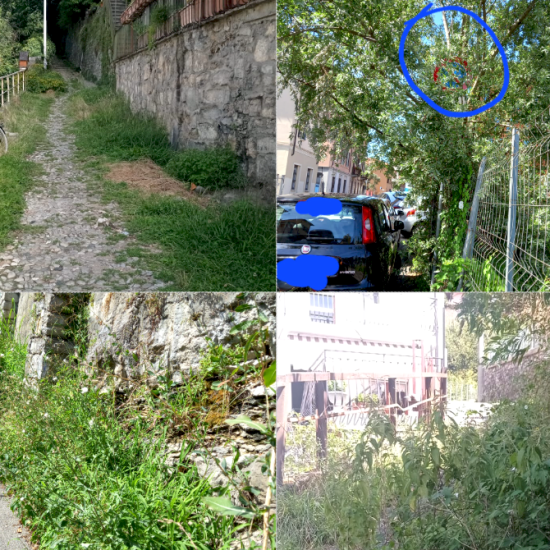 Manutenzione-Verde-Segnalazione-Cantaluppi-Combo
