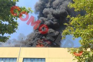 Max-Factory-Incendio-Logo (7)