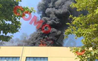Max-Factory-Incendio-Logo (7)