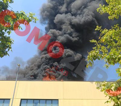 Max-Factory-Incendio-Logo (7)
