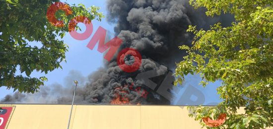 Max-Factory-Incendio-Logo (7)