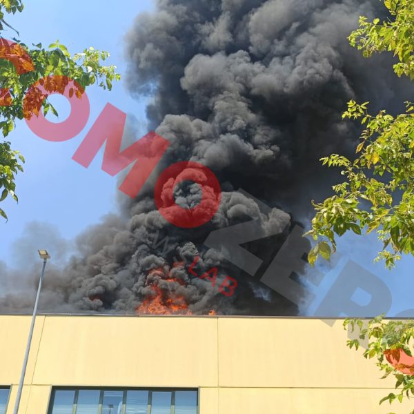 Max-Factory-Incendio-Logo (7)