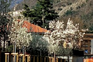 Messenger_creation_35246FD5-4EC6-49C6-A28B-20C52CA9A255