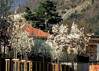 Messenger_creation_35246FD5-4EC6-49C6-A28B-20C52CA9A255