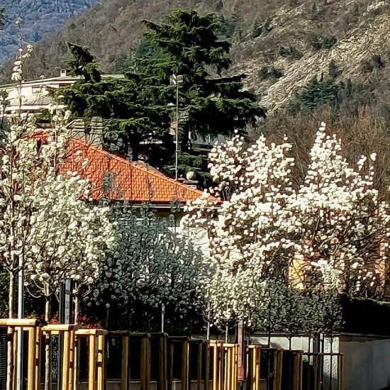 Messenger_creation_35246FD5-4EC6-49C6-A28B-20C52CA9A255