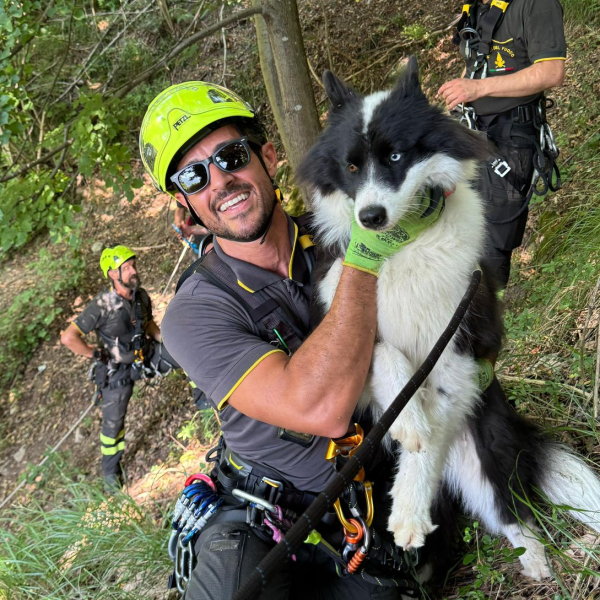 Moltrasio-Cane-Ritrovato-Vigili-Fuoco (4)
