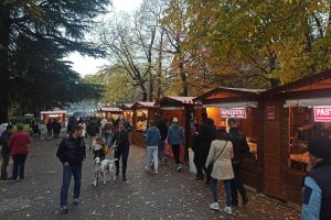 Natale-a-Como-casette-giardini-222
