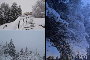 Neve-Bisbino-Combo
