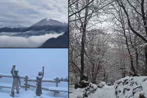 Neve-Combo