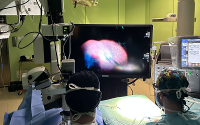 Oculistica-3-D-Sant-Anna-1