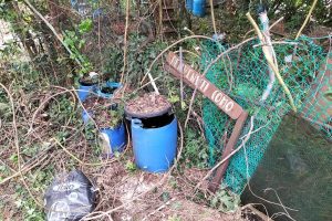 Orti-Rebbio-Foto-Rapinese (5)