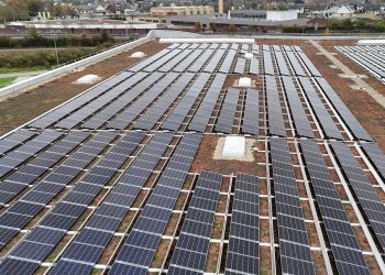 PHOTO-2024-10-31-19-57-56_1