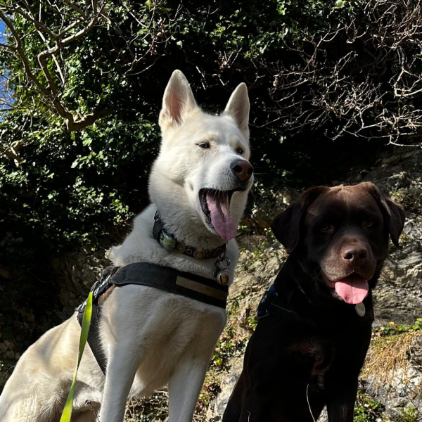 Passeggiata voltiana Zoe-Jack-1
