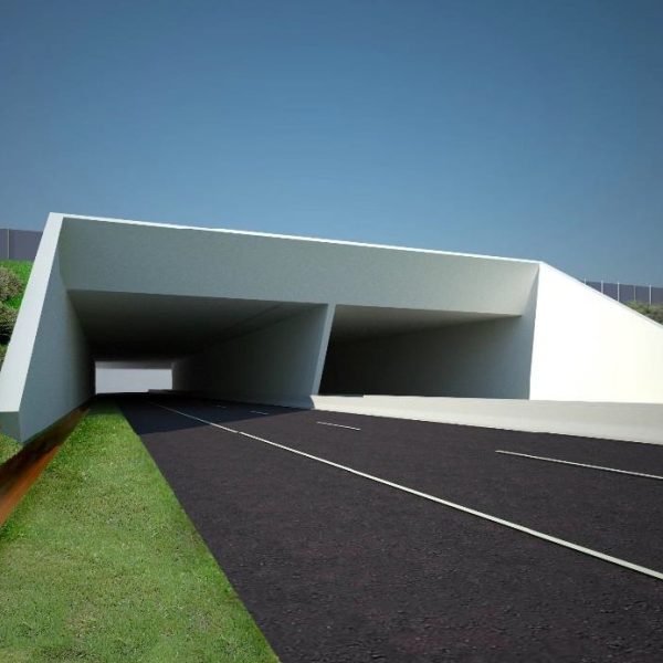 Pedemontana-Rendering-1