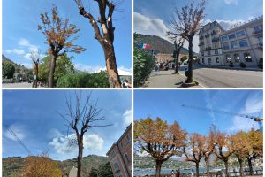 PhotoCollage_20220828_145338215