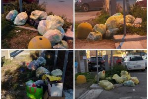 PhotoCollage_20221128_093120317