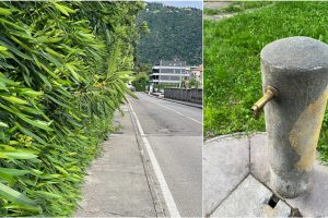 PhotoCollage_20230604_190822112