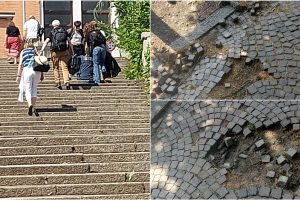 PhotoCollage_20230606_165115413