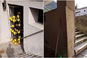 PhotoCollage_20230621_112120689