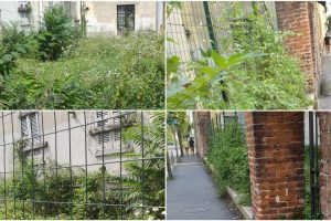 PhotoCollage_20230717_175435191