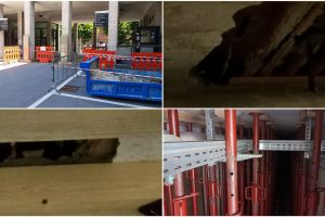 PhotoCollage_20230801_084610117