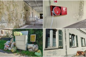 PhotoCollage_20230807_180717564