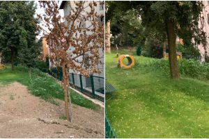 PhotoCollage_20230813_071730717