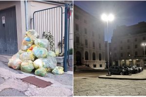 PhotoCollage_20230923_205244947